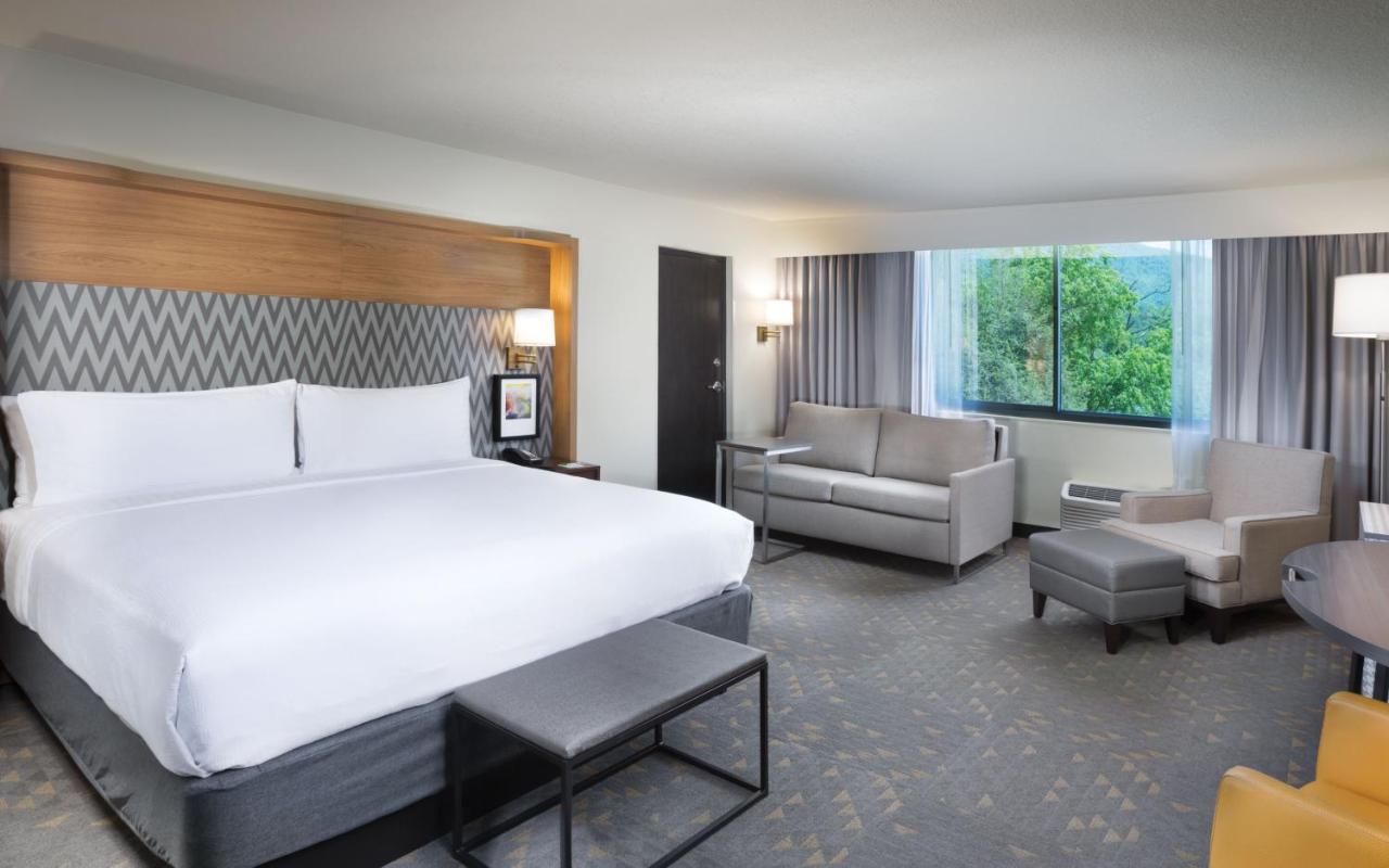 Holiday Inn Asheville East-Blue Ridge Pkwy By Ihg Buitenkant foto