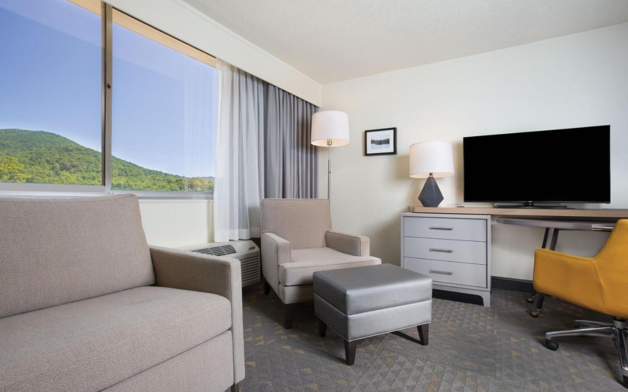 Holiday Inn Asheville East-Blue Ridge Pkwy By Ihg Buitenkant foto