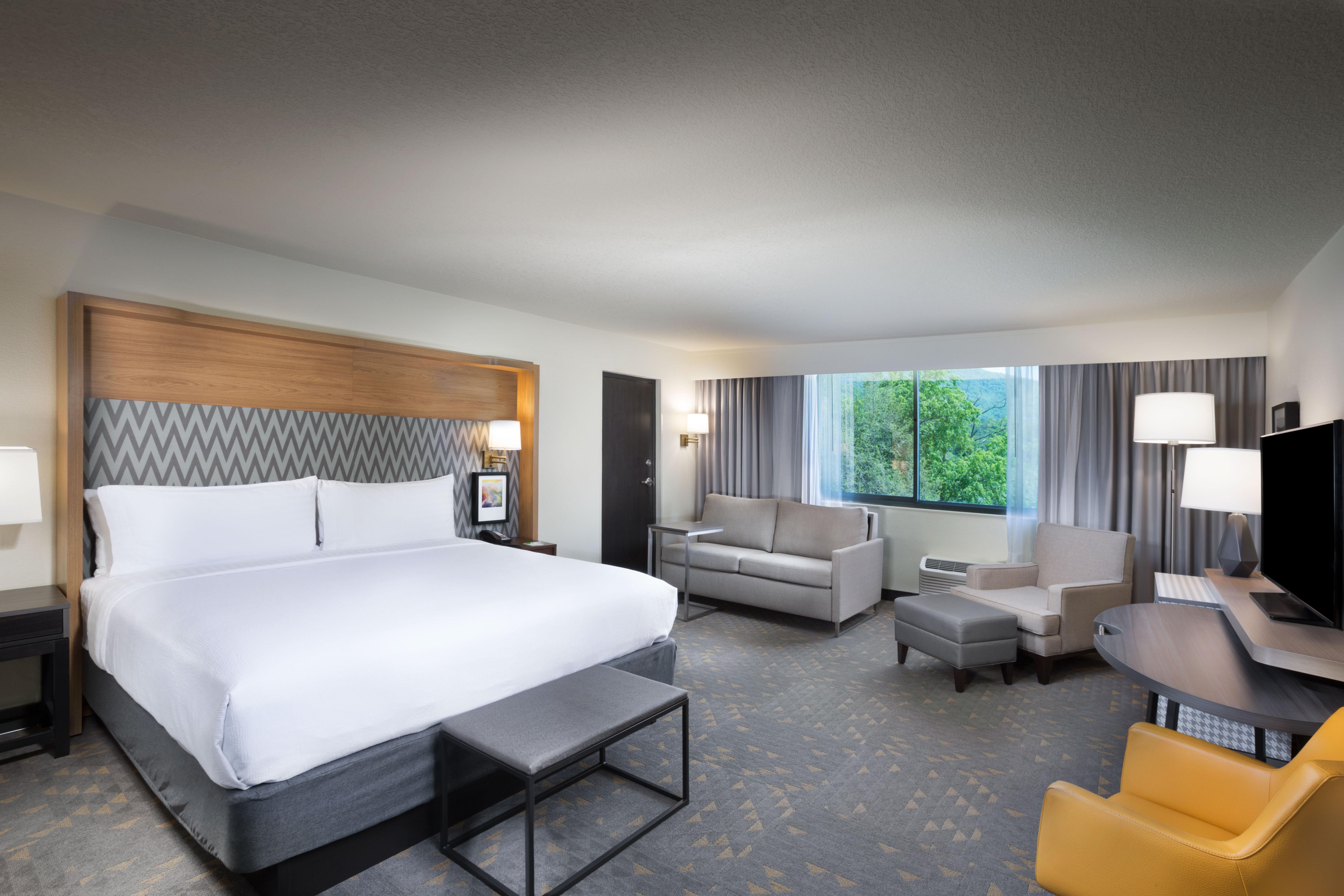 Holiday Inn Asheville East-Blue Ridge Pkwy By Ihg Buitenkant foto