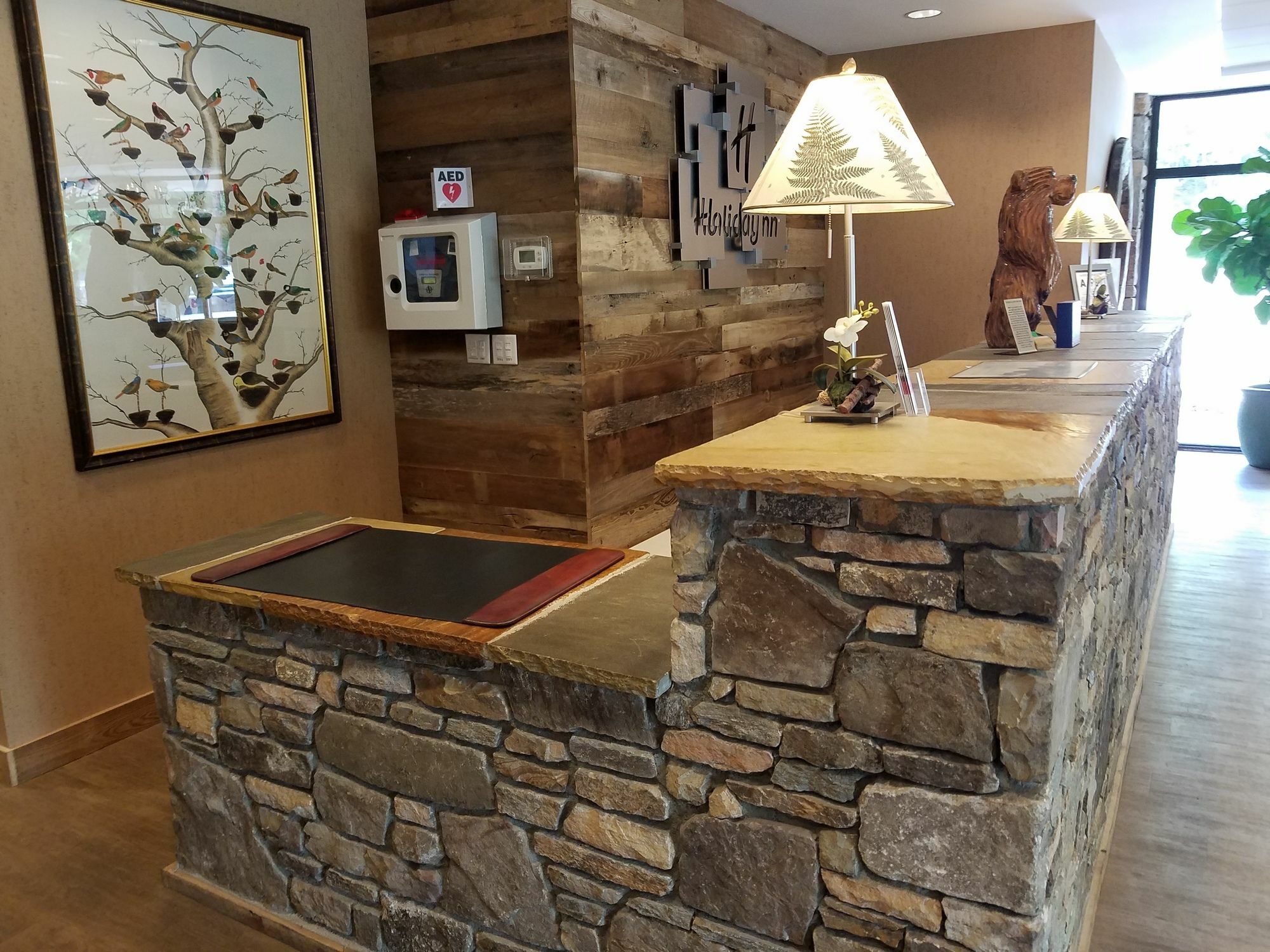 Holiday Inn Asheville East-Blue Ridge Pkwy By Ihg Buitenkant foto