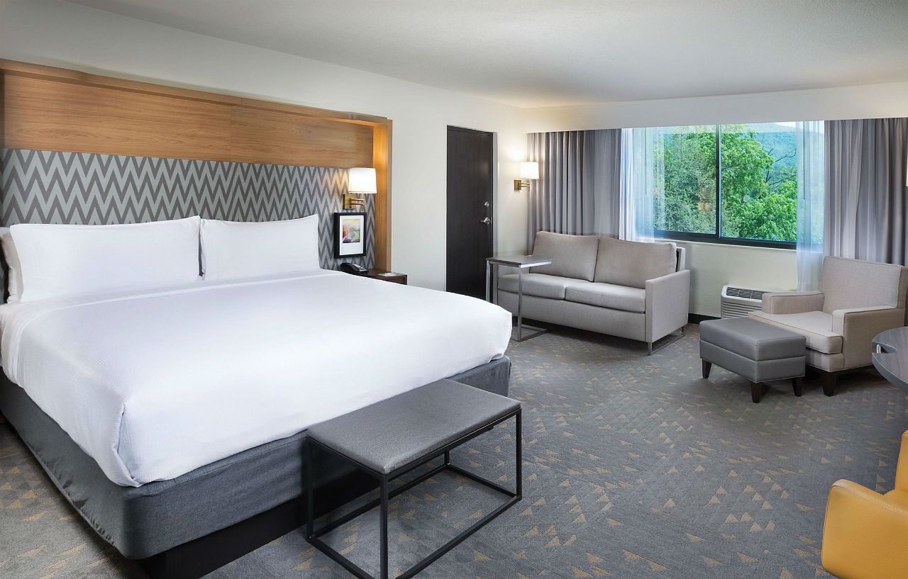Holiday Inn Asheville East-Blue Ridge Pkwy By Ihg Buitenkant foto